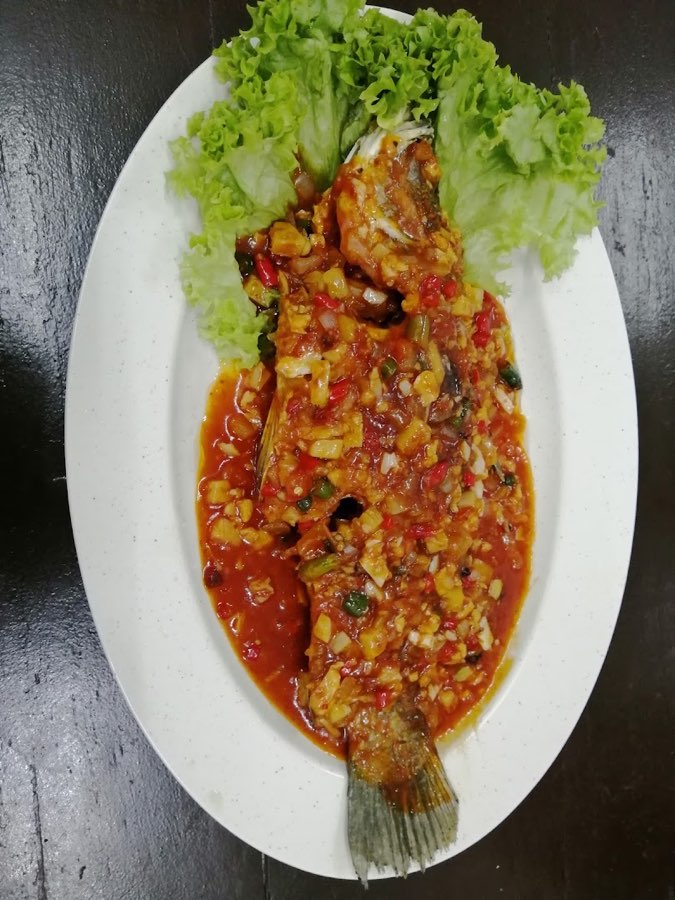 Salma Tomyam, photograph 2 of 5